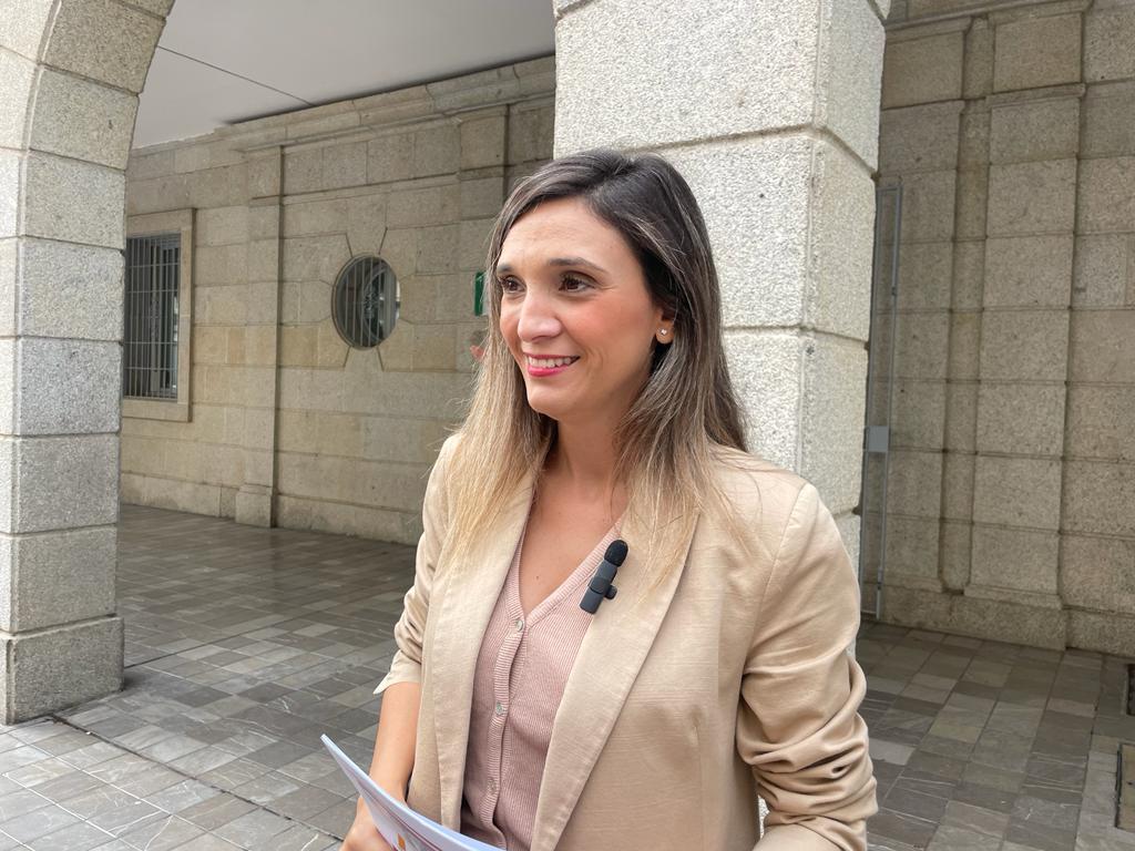 El PSOE reivindica en el Día de la Constitución el derecho de las personas a los servicios públicos que el PP en Andalucía está quebrantando