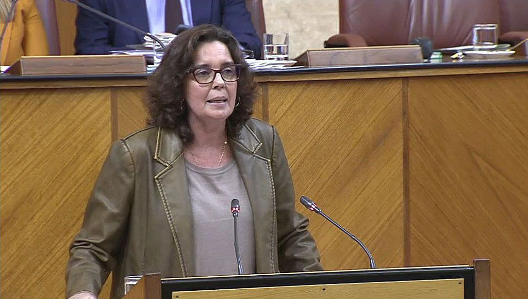 El PSOE lamenta el rechazo del PP a una PNL para pedir al Gobierno de Moreno Bonilla que acometa un proceso urgente de bajada de la ratio en las aulas