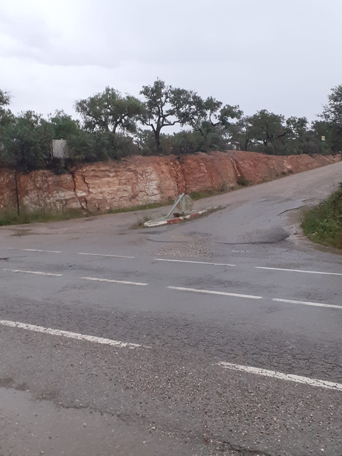 El PSOE denuncia el “estado deplorable de la carretera A-495, entre Santa Bárbara y Rosal, que demanda una actuación urgente de la Junta”