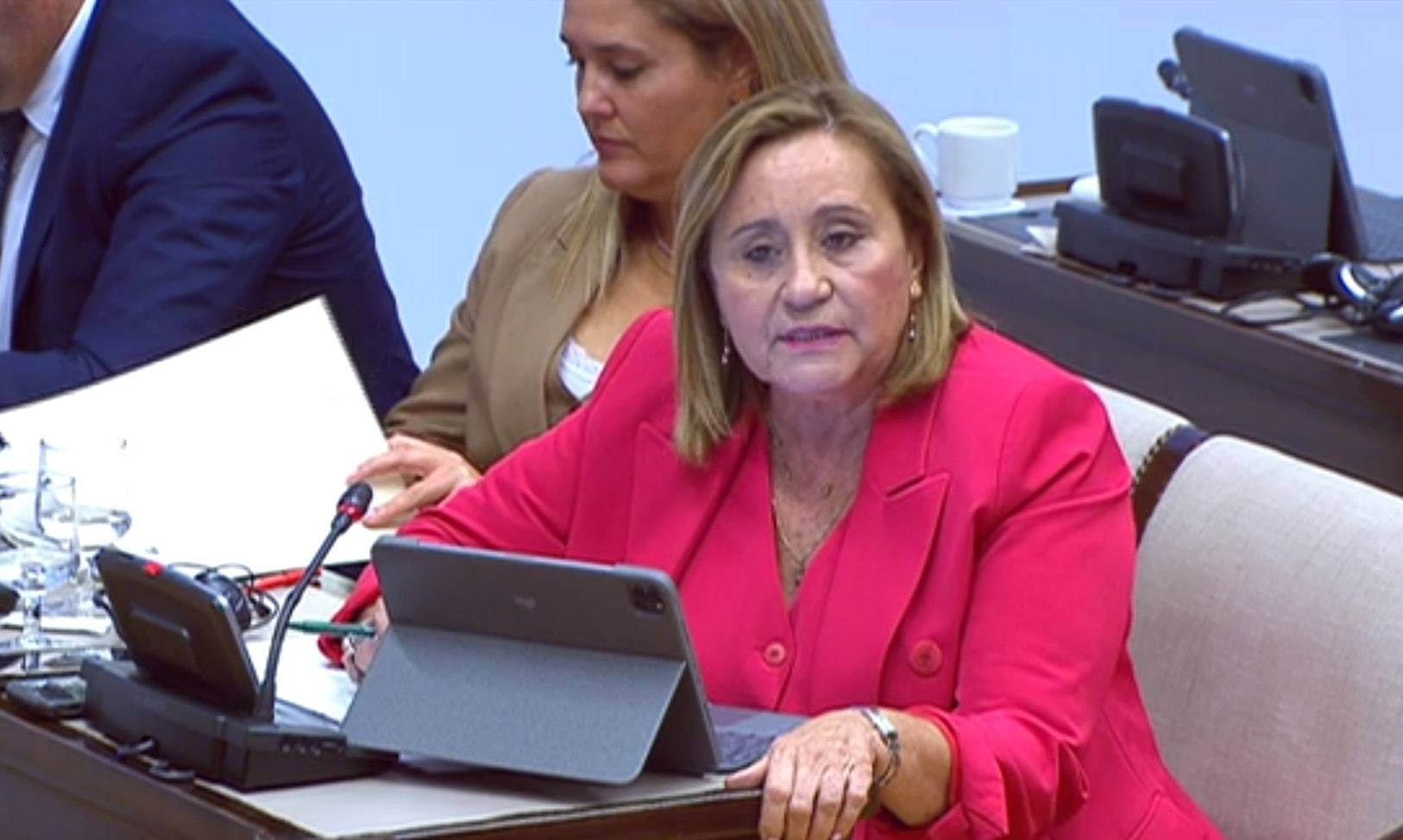 Faneca defiende una PNL, que ha sido aprobada, para pedir a la Comisión Europea que retire su propuesta de recortes de pesca para el boquerón