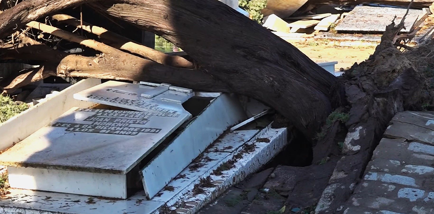 Decenas de afectados por el destrozo de las tumbas de sus familiares a causa de la borrasca Bernard esperan una respuesta del Ayuntamiento un año después