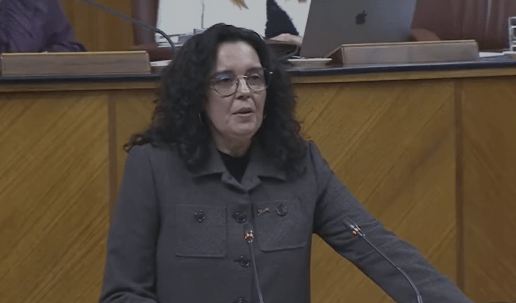 El PSOE asevera en el Parlamento andaluz que los presupuestos en educación para 2025 lejos de solucionar los problemas, los empeorarán