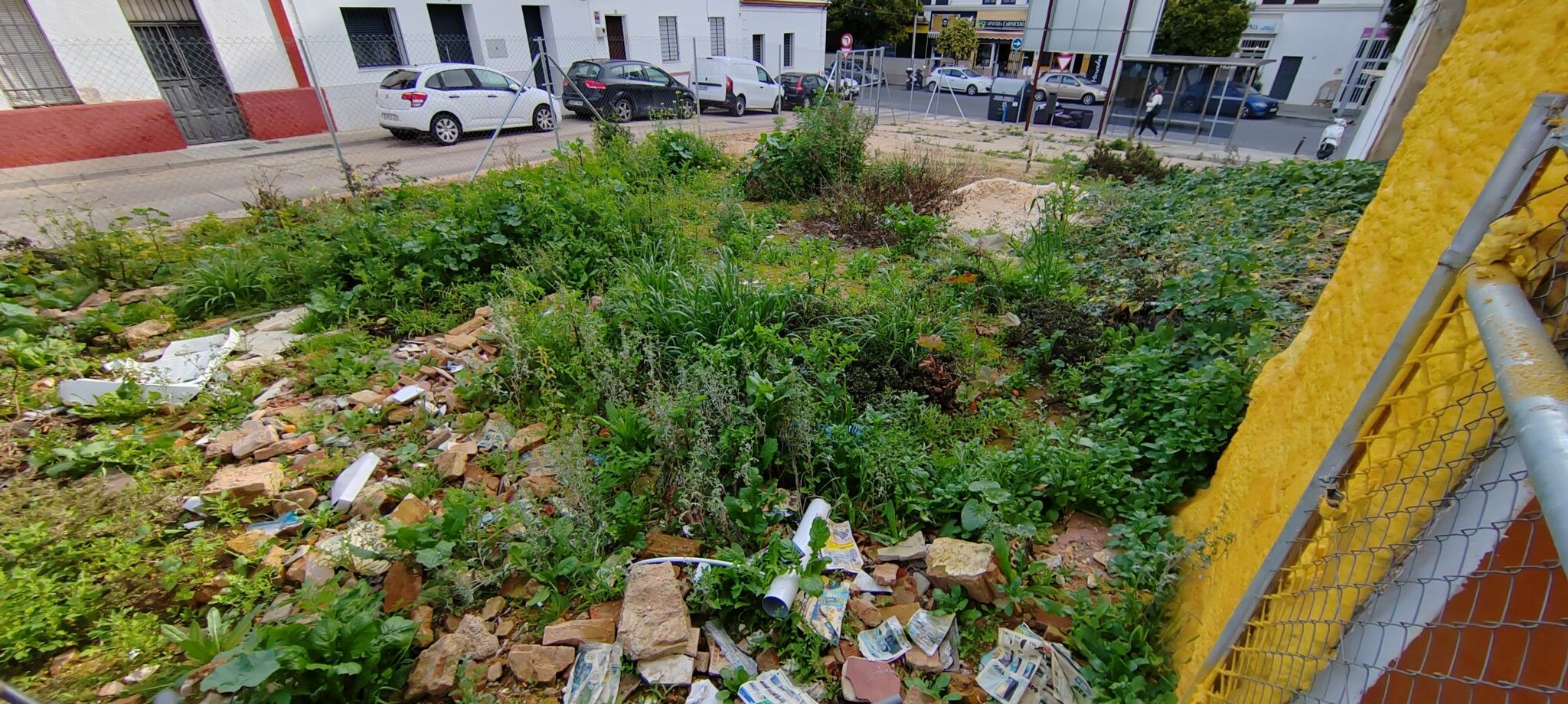 El PSOE denuncia la insalubridad por la basura y las plagas en los solares abandonados de Huerto Paco