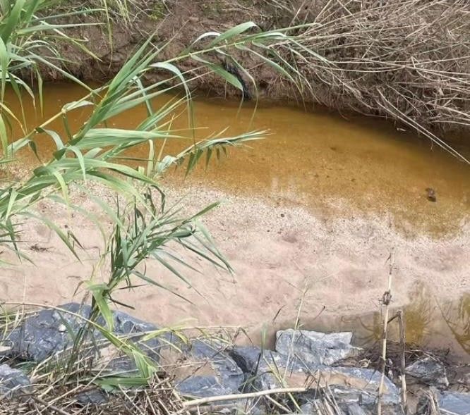 PSOE de Aljaraque exige a la Junta de Andalucía y al Ayuntamiento la limpieza inmediata del arroyo Notaría ante el grave peligro por el temporal