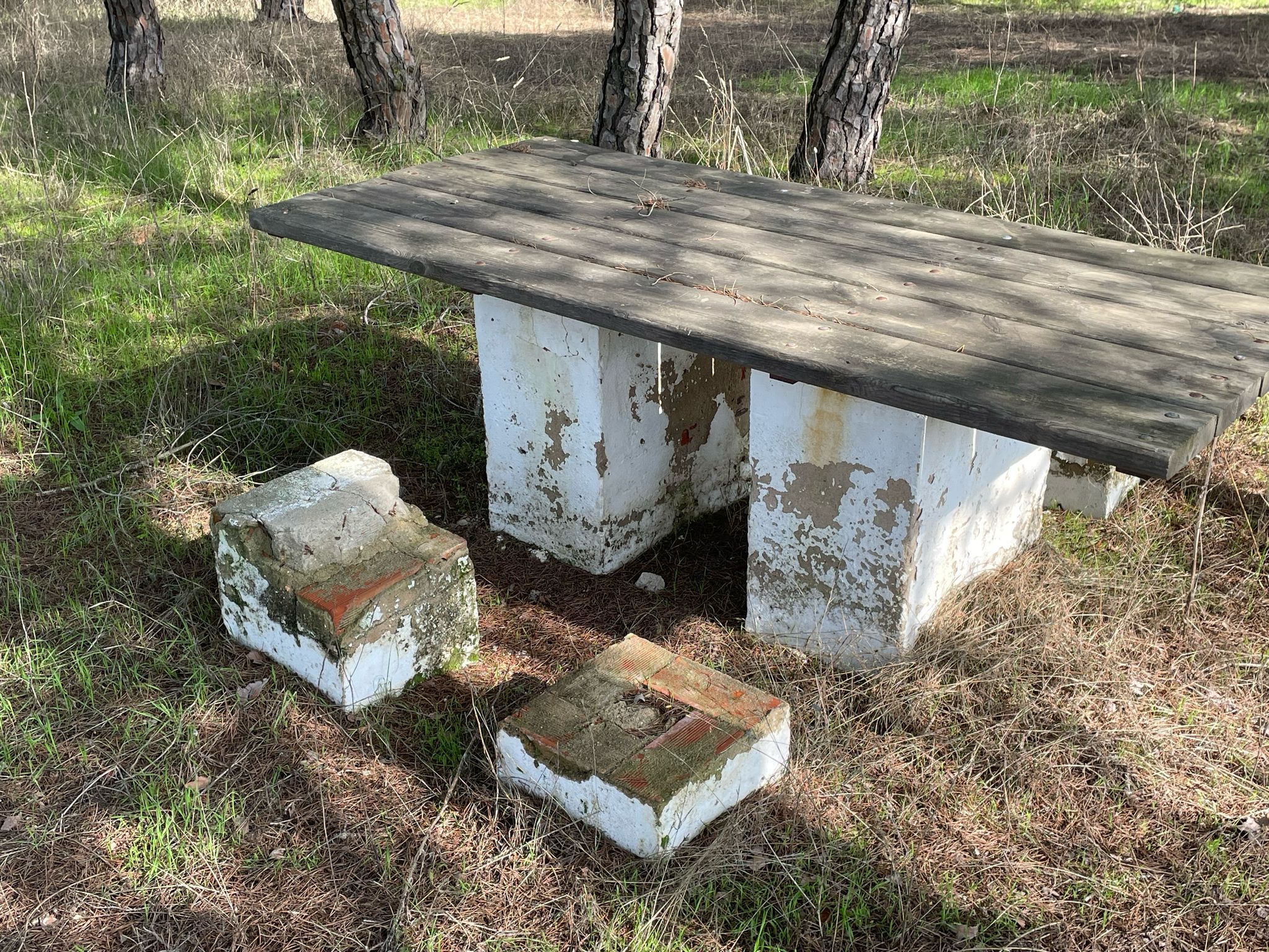 PSOE de Cartaya denuncia el abandono de los merenderos de El Pinar y pide a Ayuntamiento y Junta un plan integral de mejora y conservación