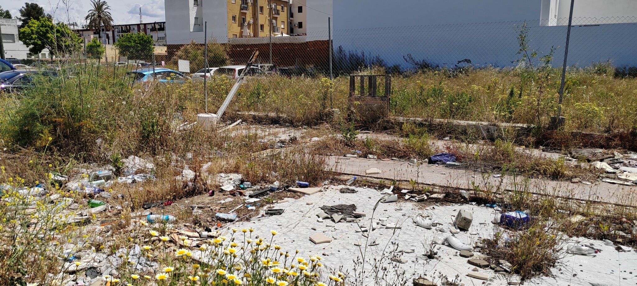 El PSOE denuncia que la maleza y la basura “han invadido toda Huelva” y alerta del inminente riesgo de incendios y de plagas