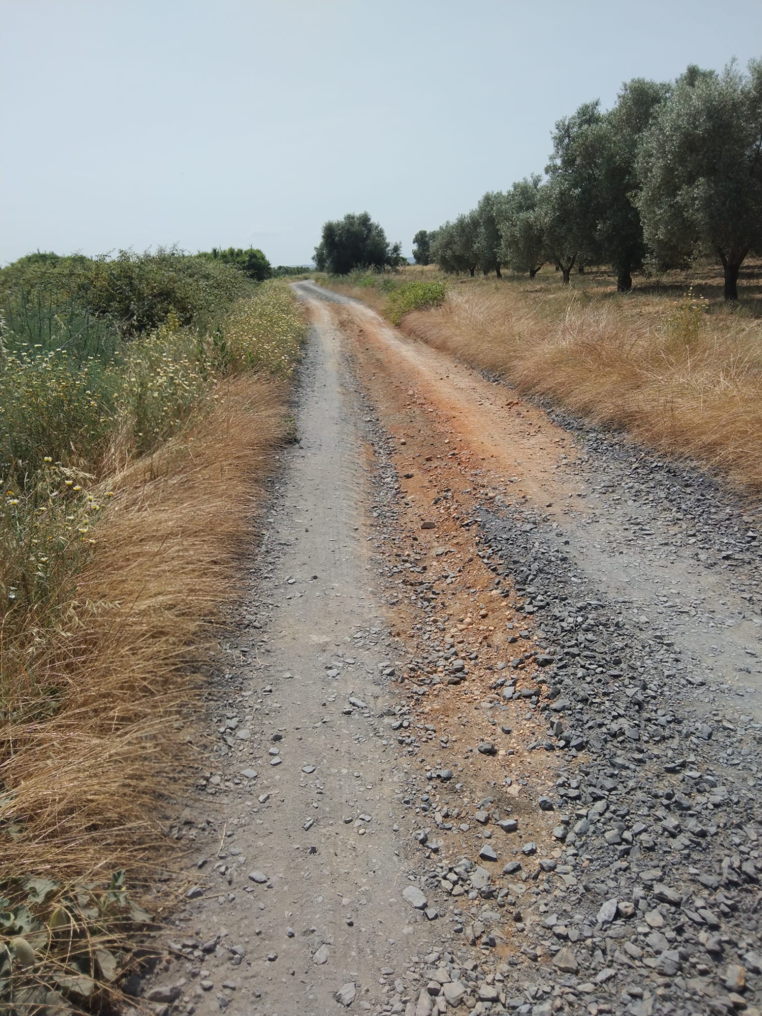 El PSOE de Beas denuncia la “grave dejadez” del PP en el mantenimiento de los caminos rurales