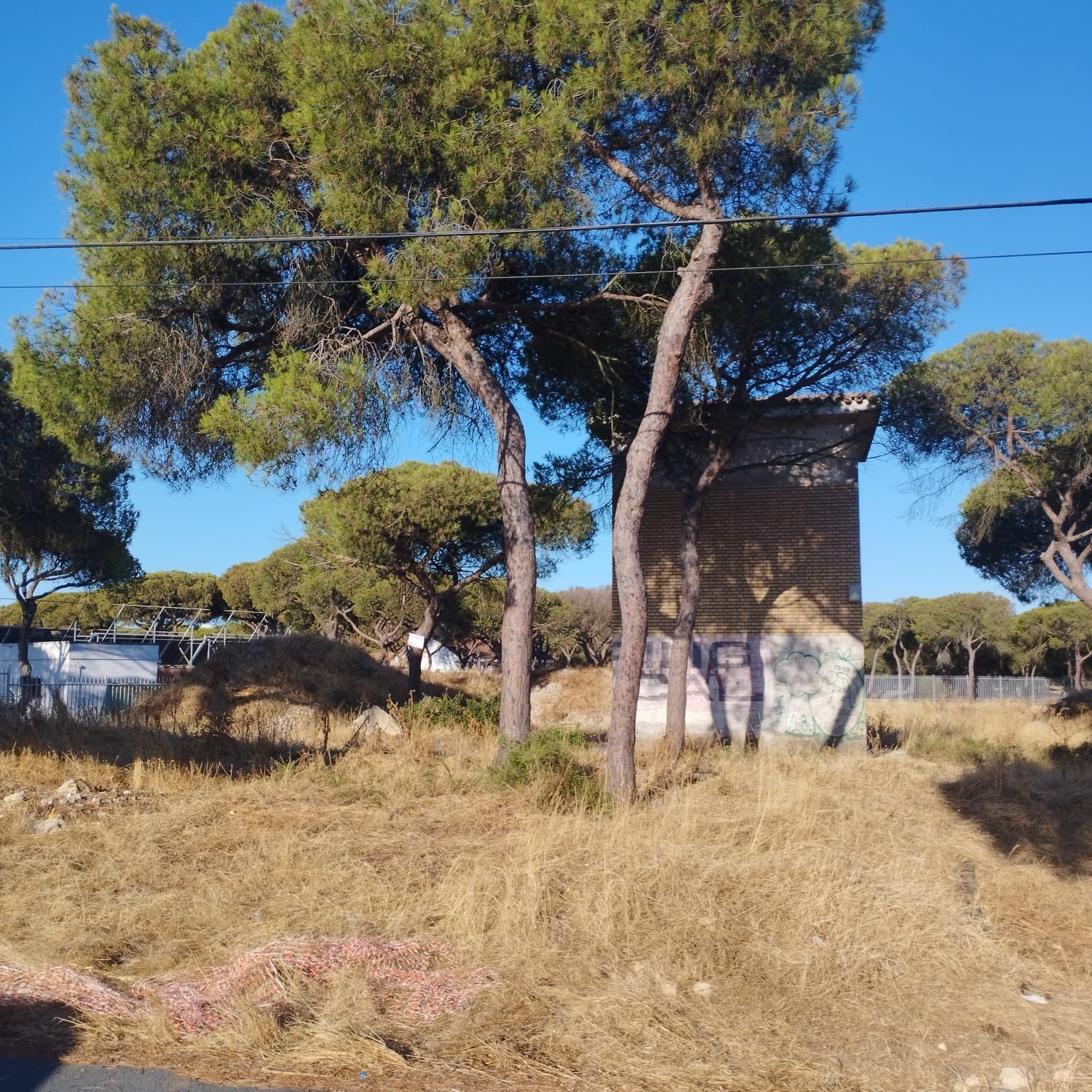 El PSOE de Punta critica que el centro sociosanitario Senior Life en «un solar abandonado», otro «gran engaño»