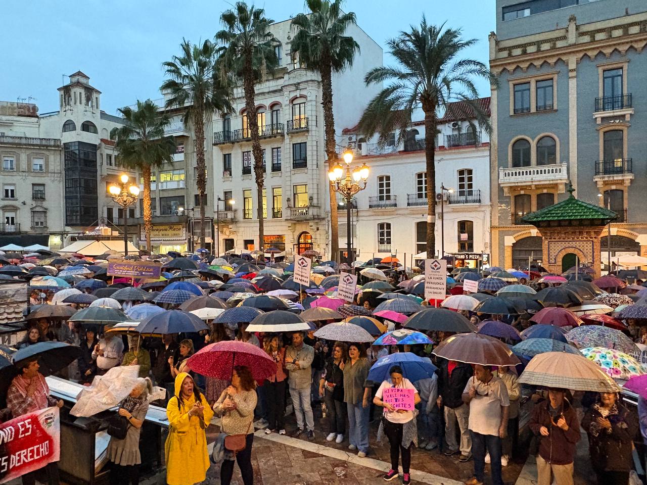 Baluffo: “La sanidad pública en Huelva está en la UCI y los onubenses han dicho basta ya”