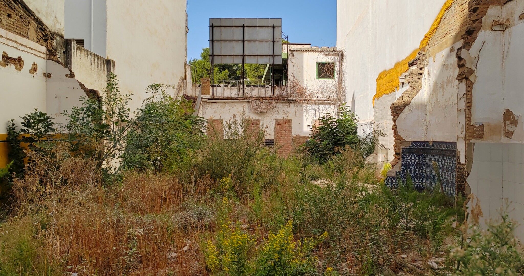 El PSOE de Huelva denuncia que un solar abandonado en el Matadero está provocando “insalubridad, ratas y humedades en las viviendas colindantes”