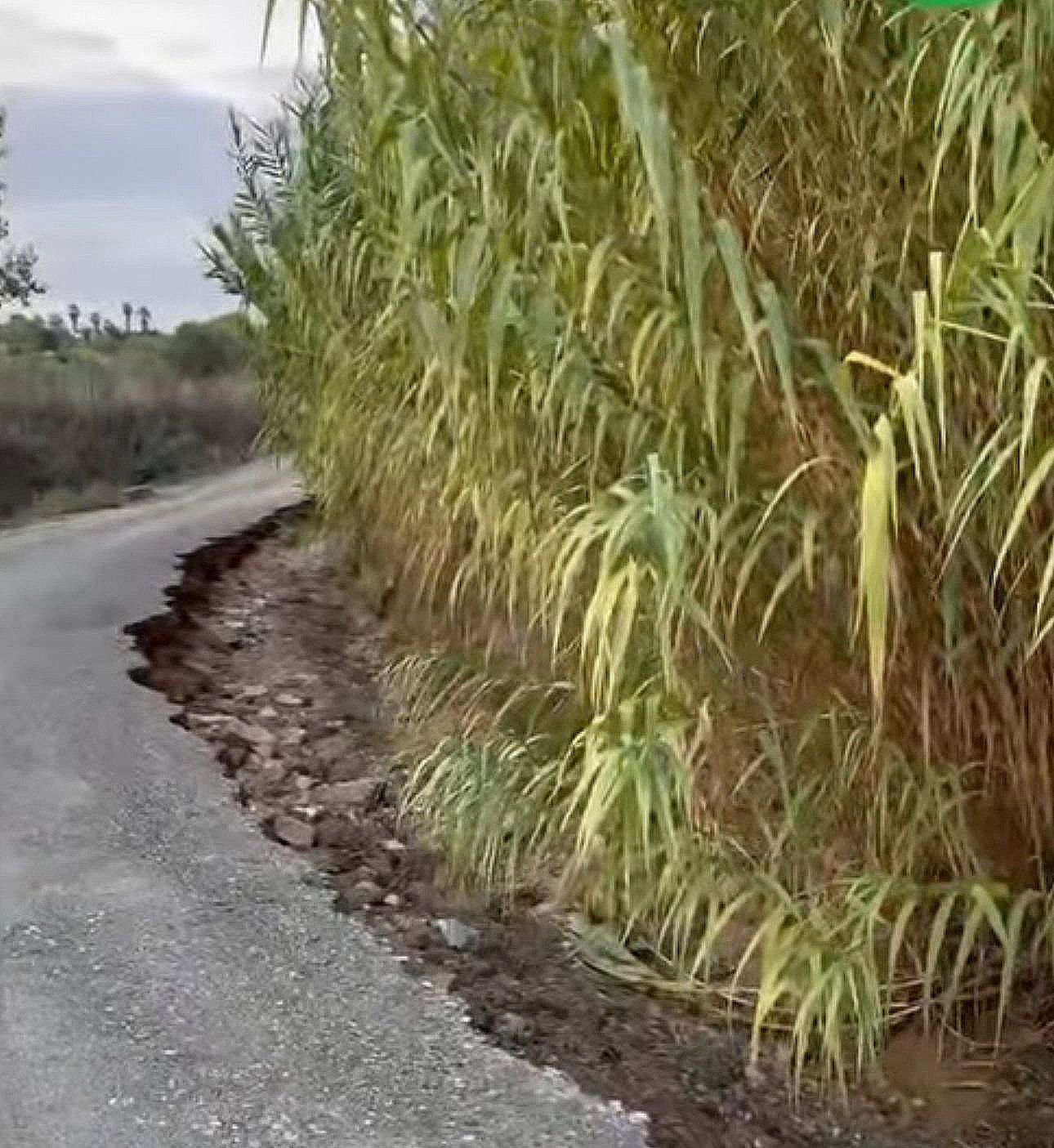 El PSOE de Rociana del Condado acusa al alcalde del PP de abandonar los caminos rurales y exige una actuación urgente