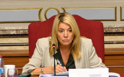 El PSOE exige a Pilar Miranda que cumpla el acuerdo del Pleno para actuar en Las Colonias