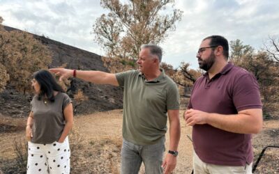 El PSOE exige a la Junta que dé la cara por el incendio de Niebla y movilice recursos para recuperar la comarca