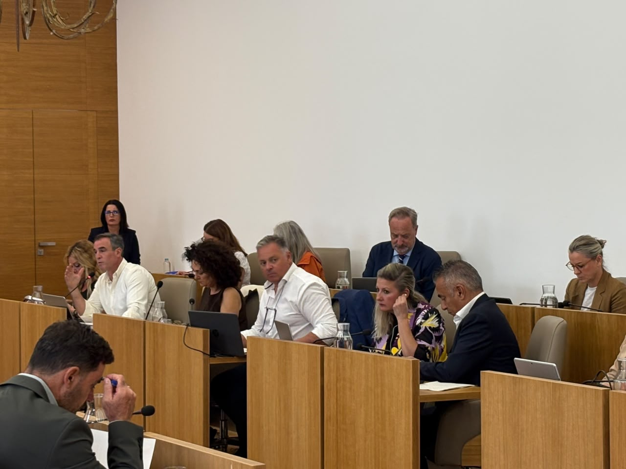 pleno Diputación
