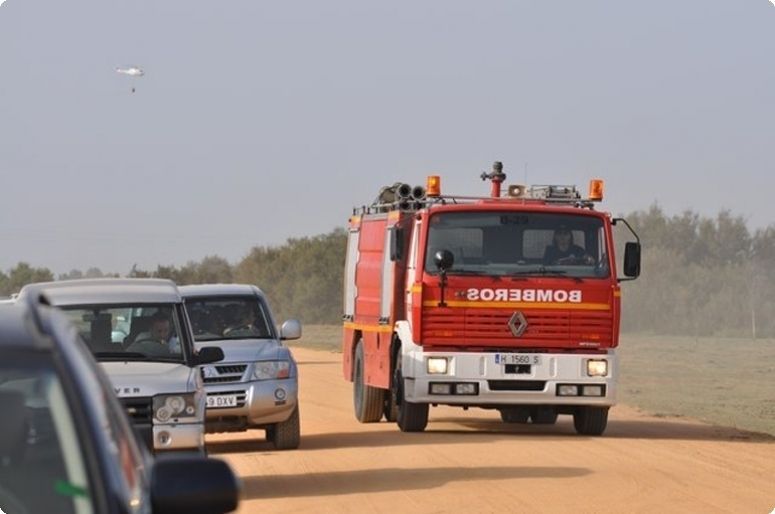 El PSOE valora la “eficacia y la rapidez” con la que está actuando el Infoca en la prevención de incendios