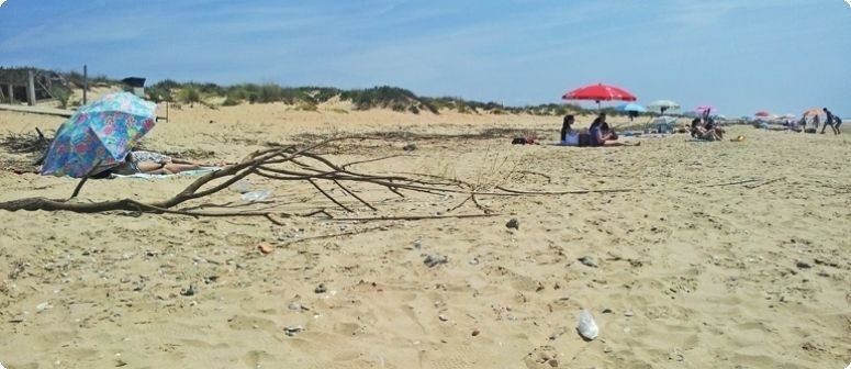 Los alcaldes socialistas reclaman al Gobierno central inversiones para el mantenimiento y acondicionamiento de las playas