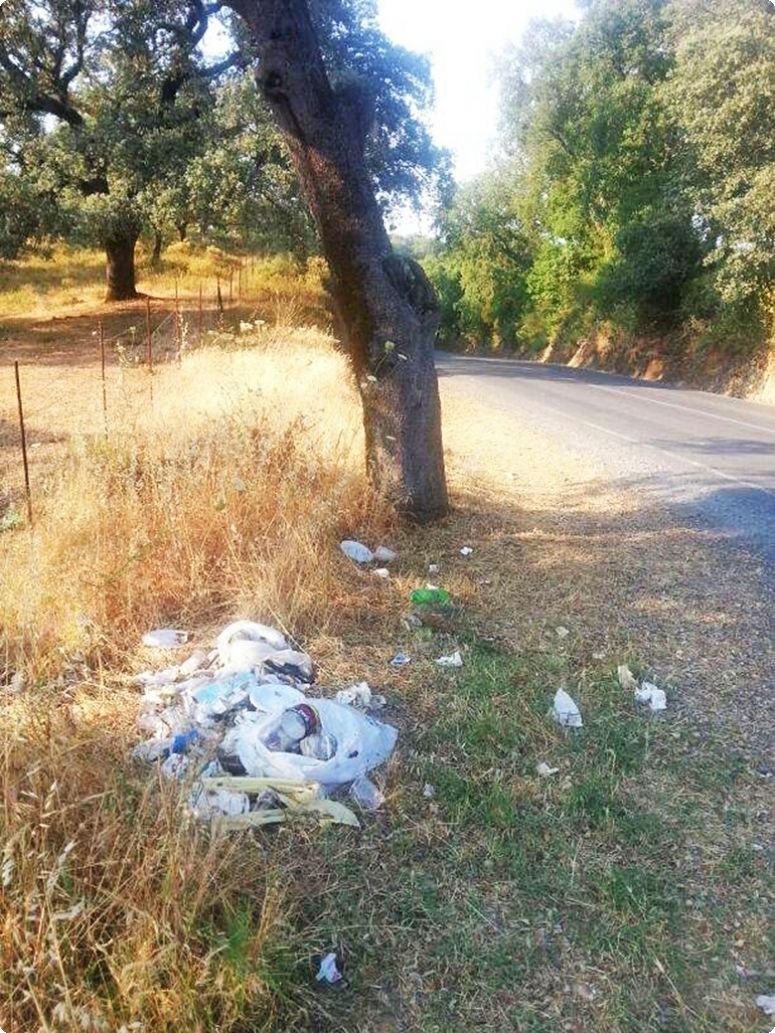 PSOE denuncia la dejadez y el abandono del PP en el camino de la romería después de un mes