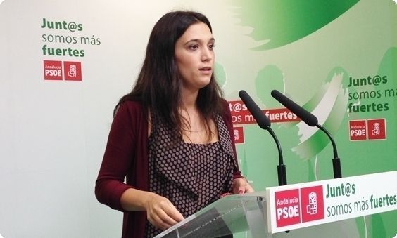 PSOE destaca los 13 millones de euros en los Presupuestos de Andalucía para el Bono de Empleo Joven en Huelva y apoya ampliar el plazo