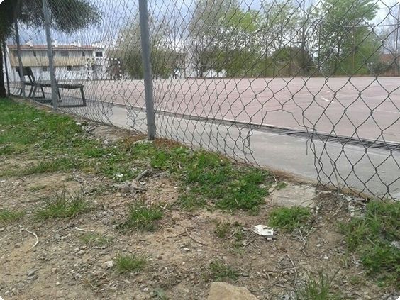 El PSOE de Cortegana exige al equipo de Gobierno del PP un plan de limpieza y actuación urgente para el colegio público