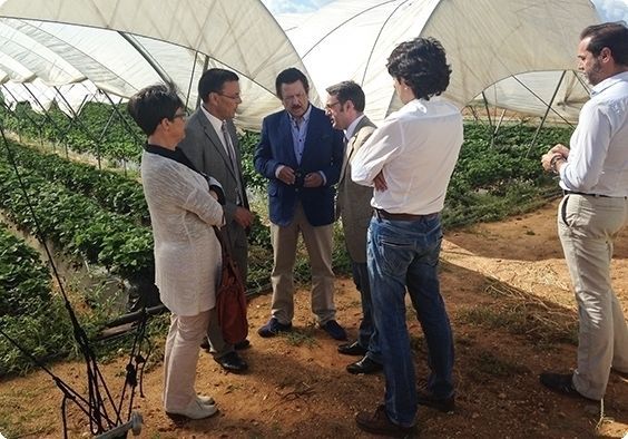 PSOE pide llenar las urnas de votos socialistas para conseguir una Europa que apueste por la innovación en nuestra agricultura