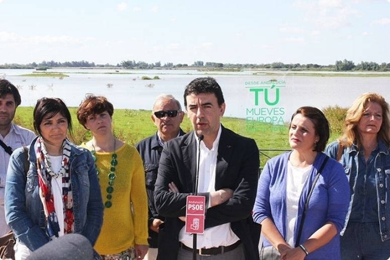 PSOE-A pide a la UE un programa operativo para Doñana que permita la generación de 10.000 empleos en esta zona