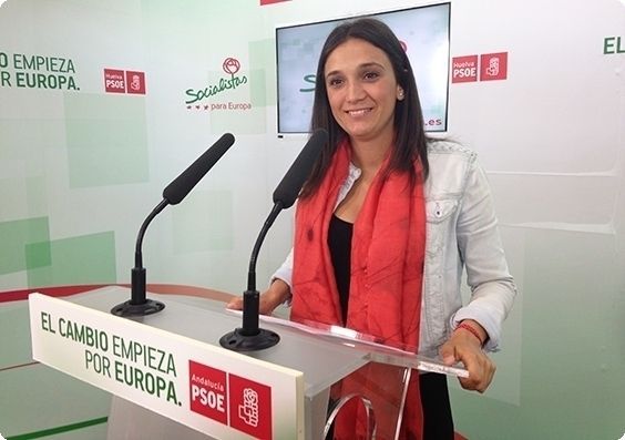 PSOE critica que el Gobierno abogue por «desmantelar la educación pública» con el copago educativo