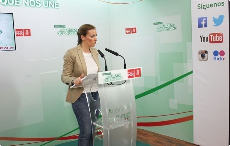 PSOE exige al PP el expediente de adjudicación de las obras a la empresa Fitonovo y llevará el caso a la Fiscalía si hay irregularidades